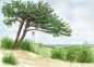 Preview: Postkarte DIN-A6 Aquarell Maritim Kunst Druck Kunstdruck Ostsee Leuchtturm Dornbusch Hiddensee Rügen